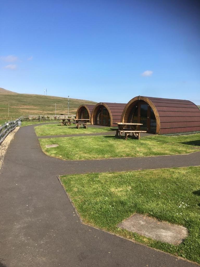 Standing Stones Lodge بلفاست المظهر الخارجي الصورة